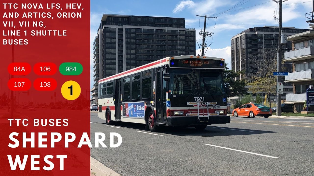 TTC Buses at Sheppard West Station, Line 1 Closed (Wilson to Sheppard West)