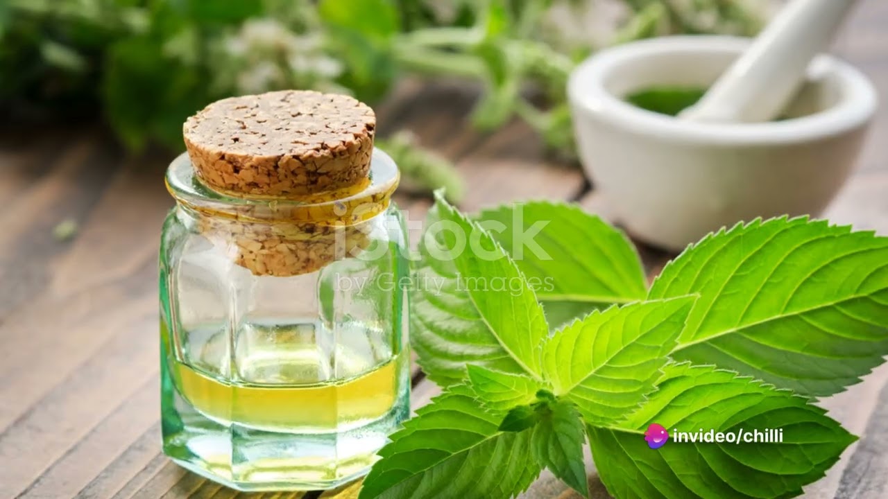 Green Pharmacy: The Power of Medicinal Plants 