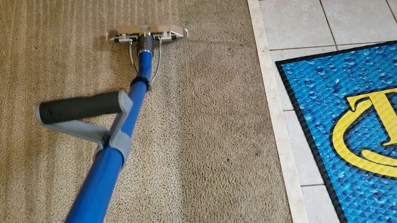 CLEANING THE DIRTIEST CARPETS KNOWN TO MAN🤯