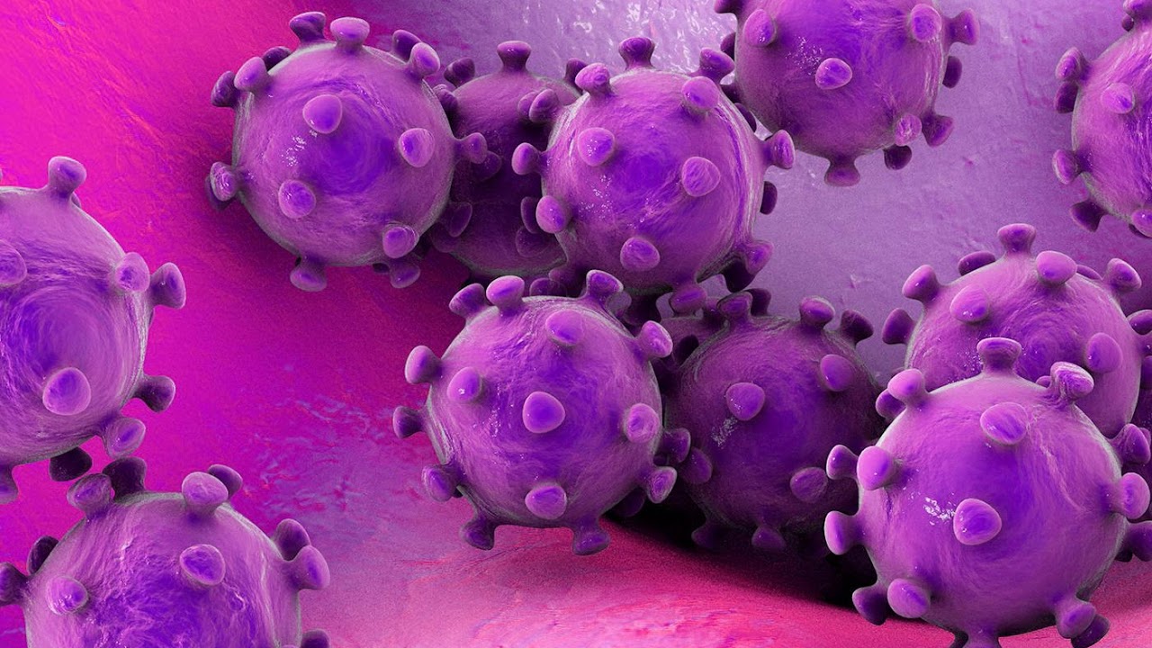 Investigating the New Coronavirus with Karla Satchell, PhD