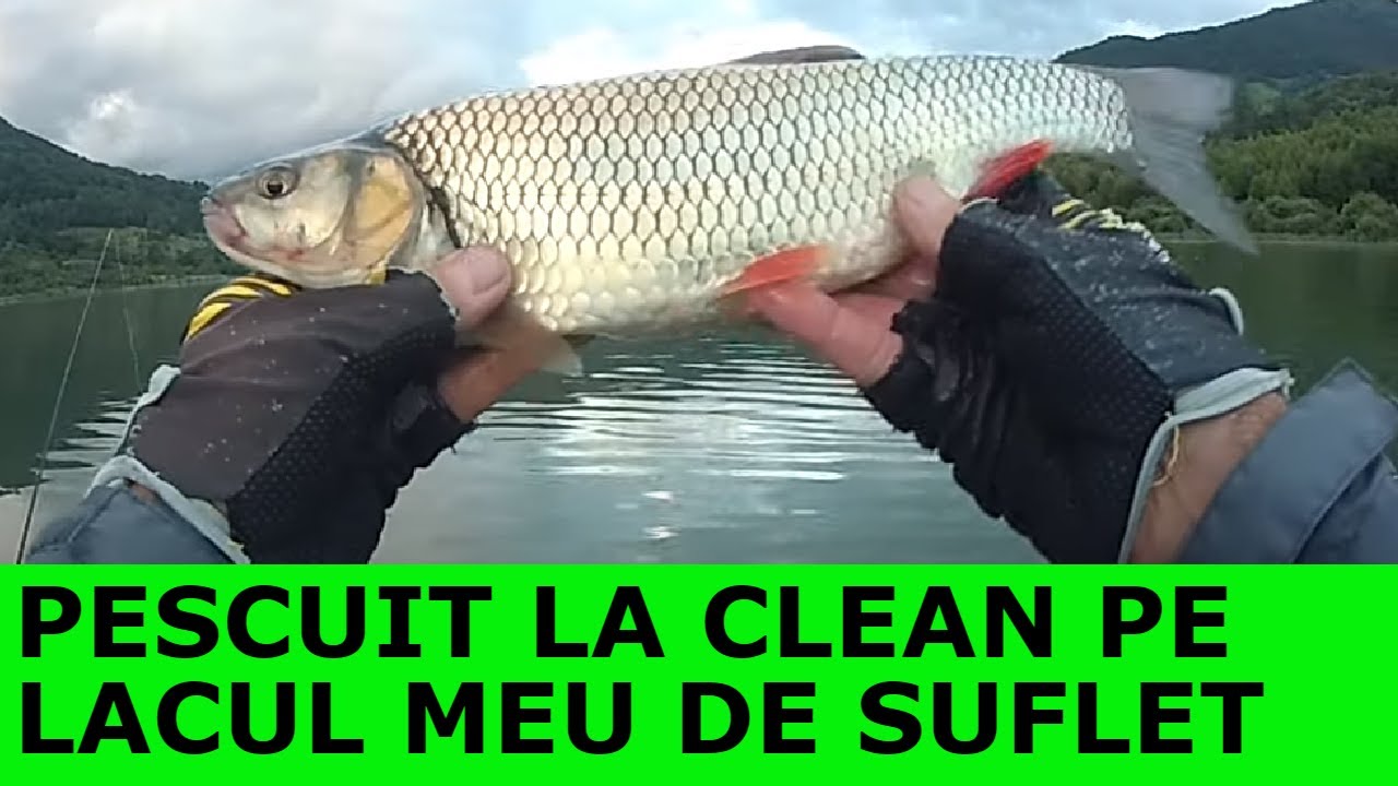 PESCUIT LA CLEAN CU VOBLERE#SPINNING LA CLEAN
