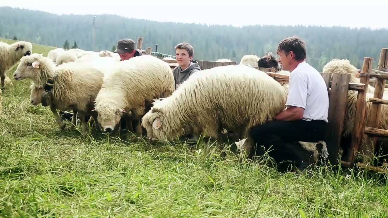 Podhale daje radę - making of