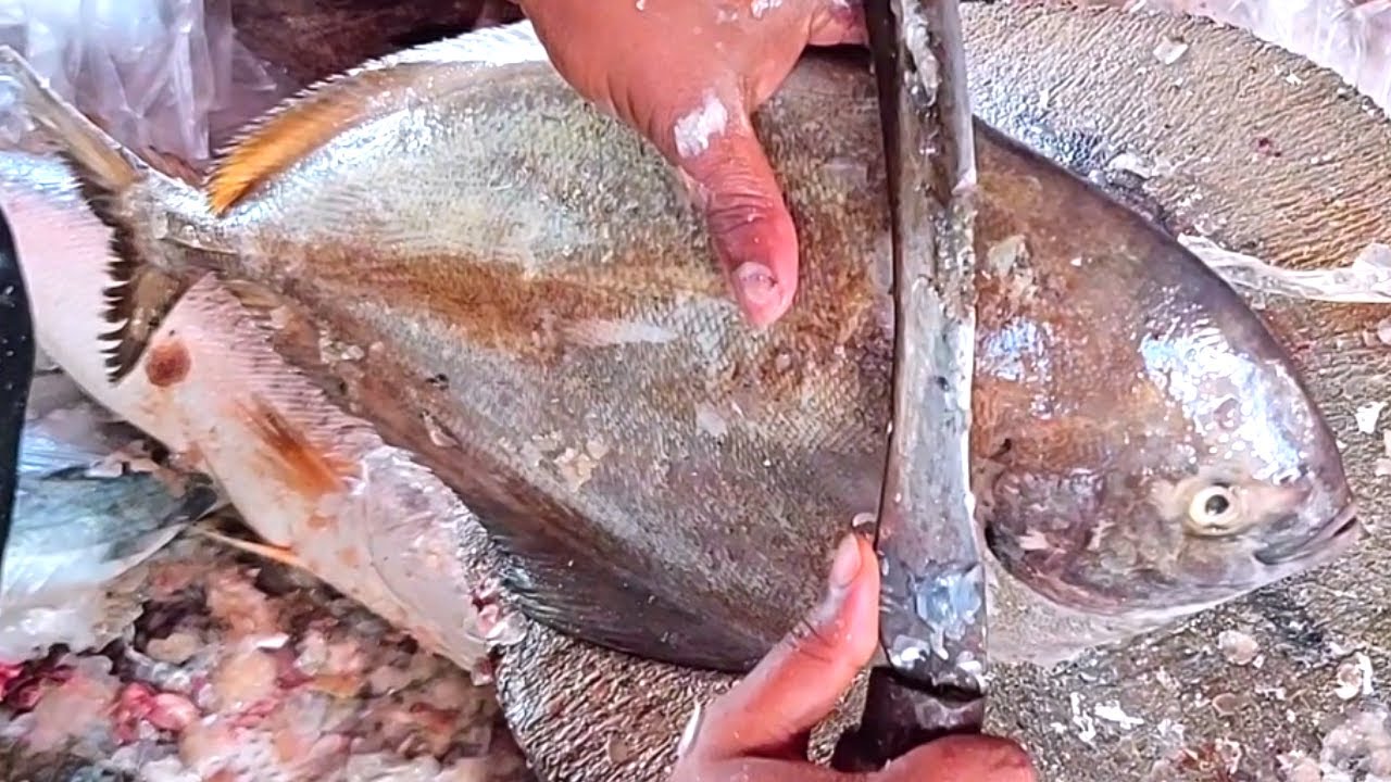 Big Pomfret Fish Cutting Skills In Asian Fish Market | Fish Cutting Video