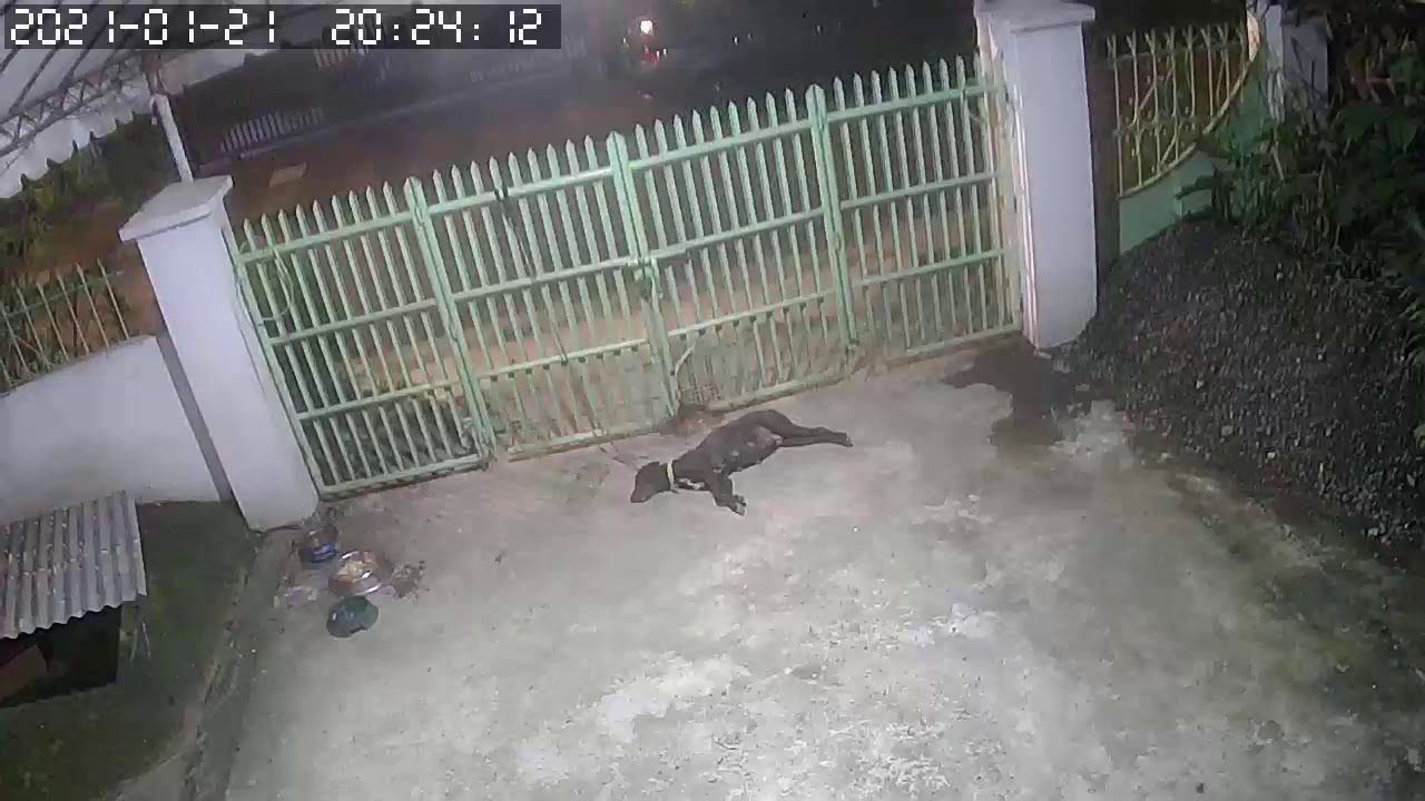 1.20.2021 Magnitude 7.1 Davao earthquake