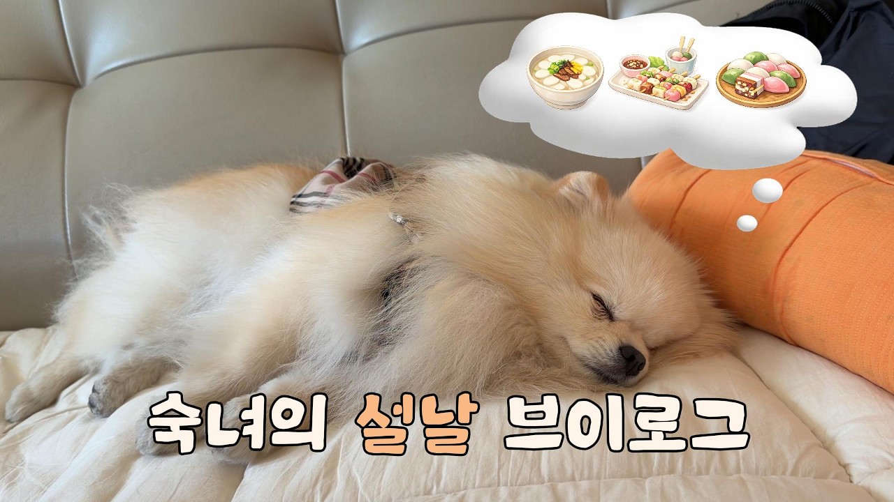 설날에 과식한 건 나만이 아니었어…