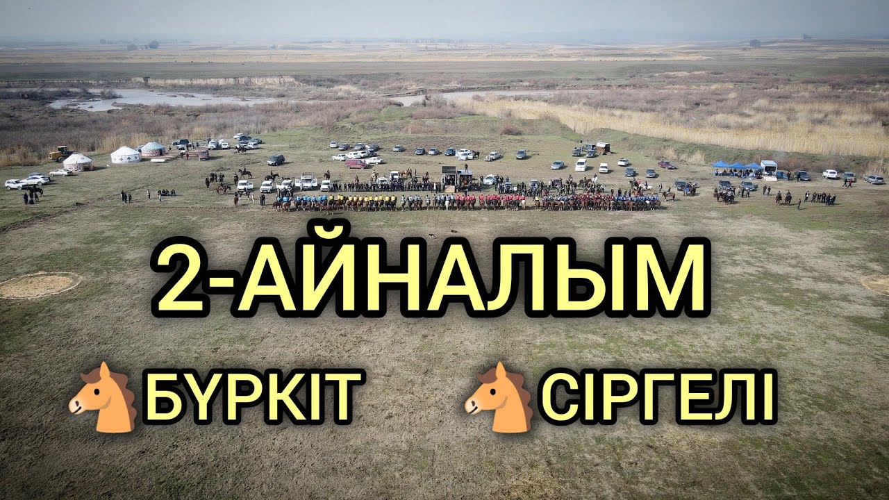 КОМАНДА КӨКПАР БҮРКІТ СІРГЕЛІ 1/2 