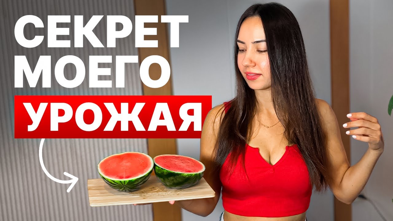 Вырастила арбуз в квартире | Секрет МОЩНОЙ рассады