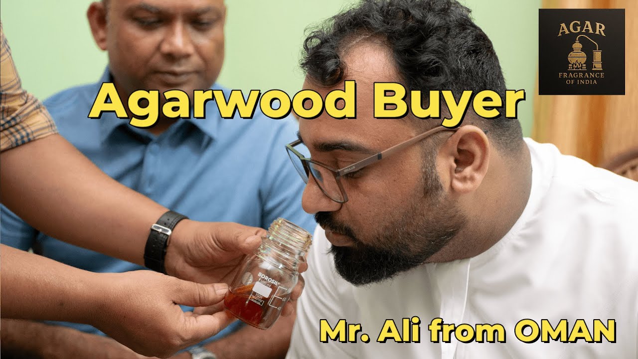 Omani Agarwood Buyer – Exploring Assam's Natural Oud