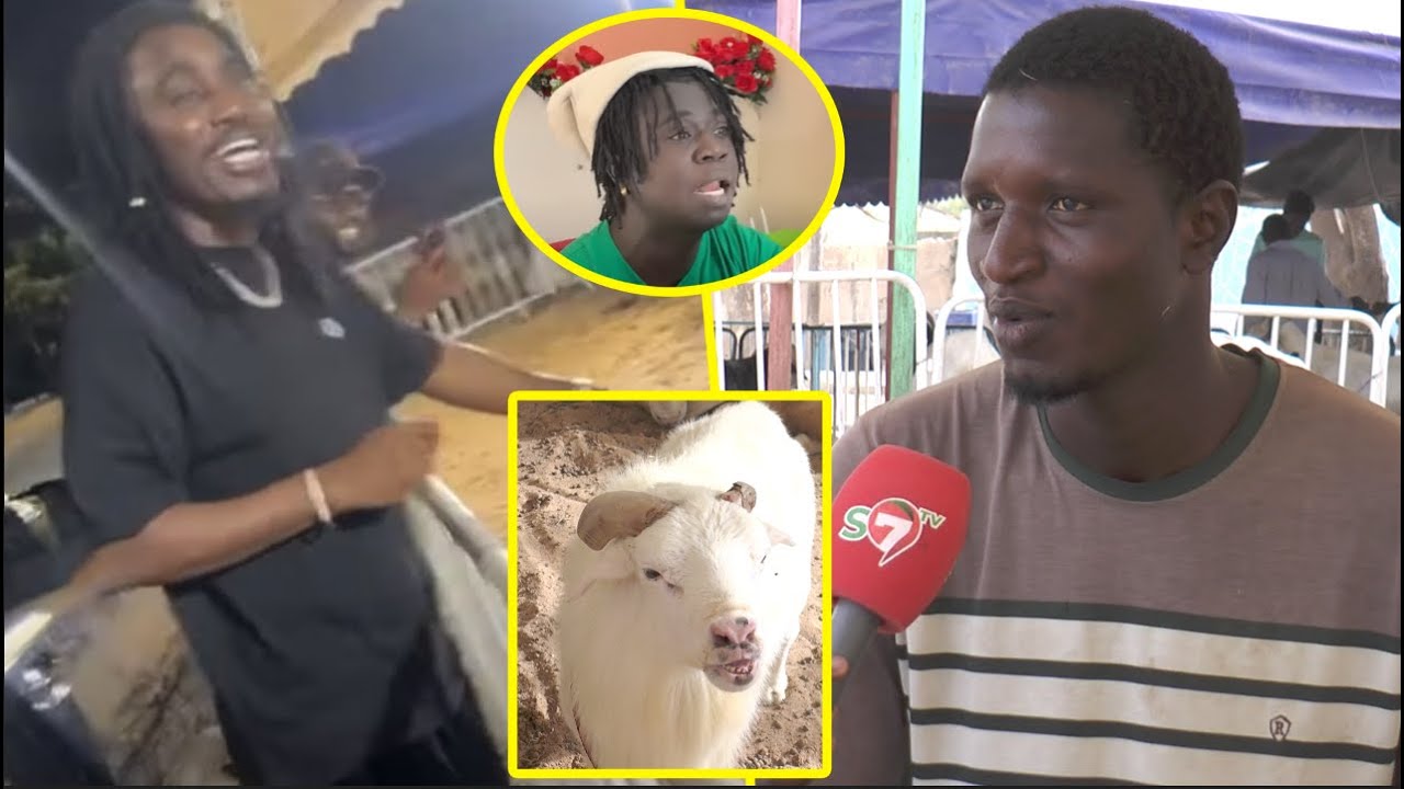 Comparé à Pawlish, Le proprietaire du mouton Abou Kane brise le silence 