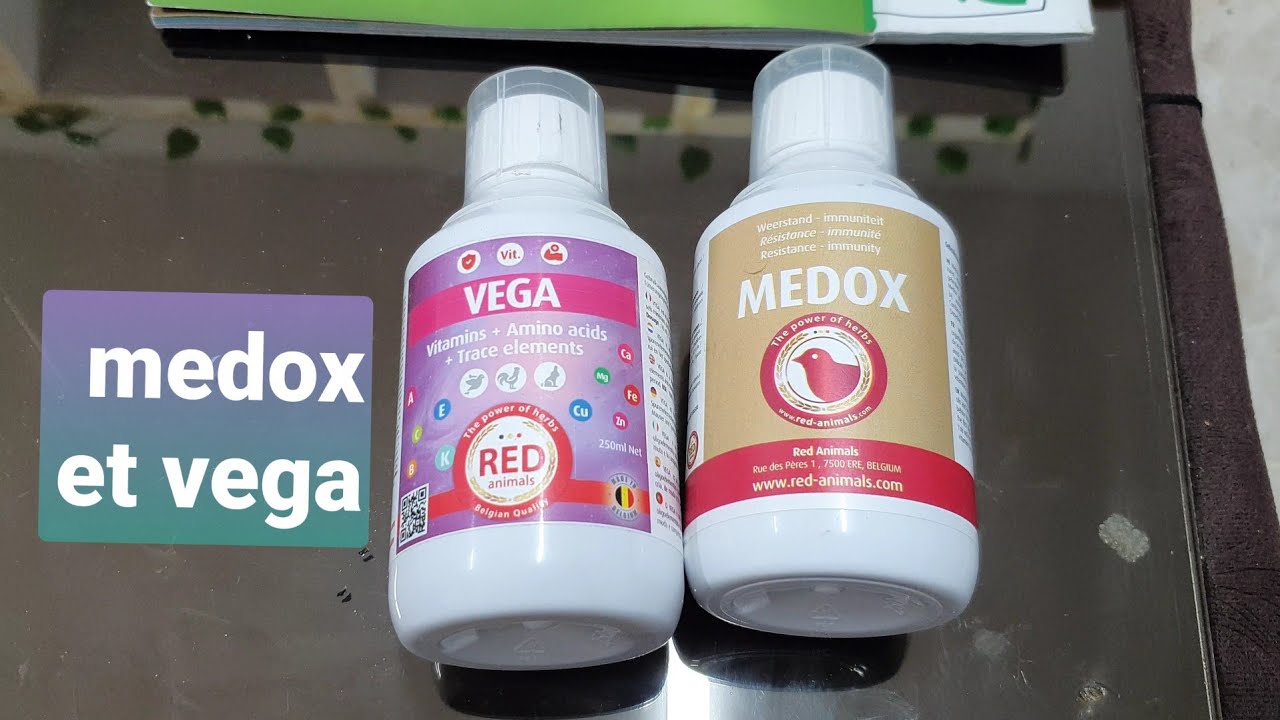 نتيجة إستخدامي لميدوكس و فيجا ..medox et vega