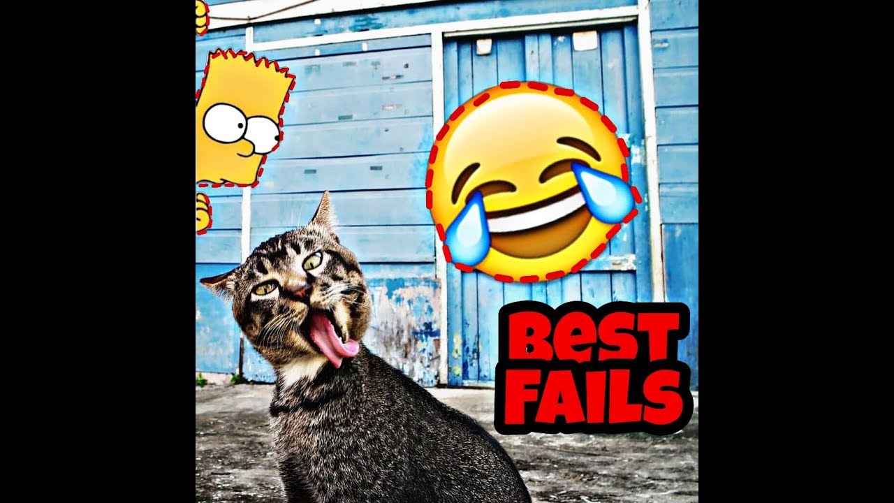 the best fails compilation 2018 june #2