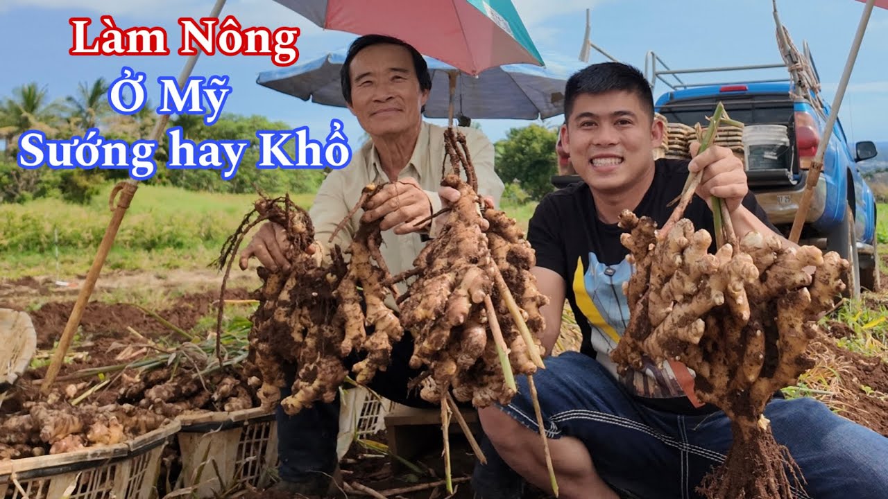 Người Việt Đem Ngành Nông nghiệp Sang Mỹ Lập Nghiệp