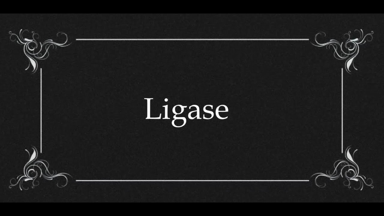 Enzimas Endonucleases - Ligase