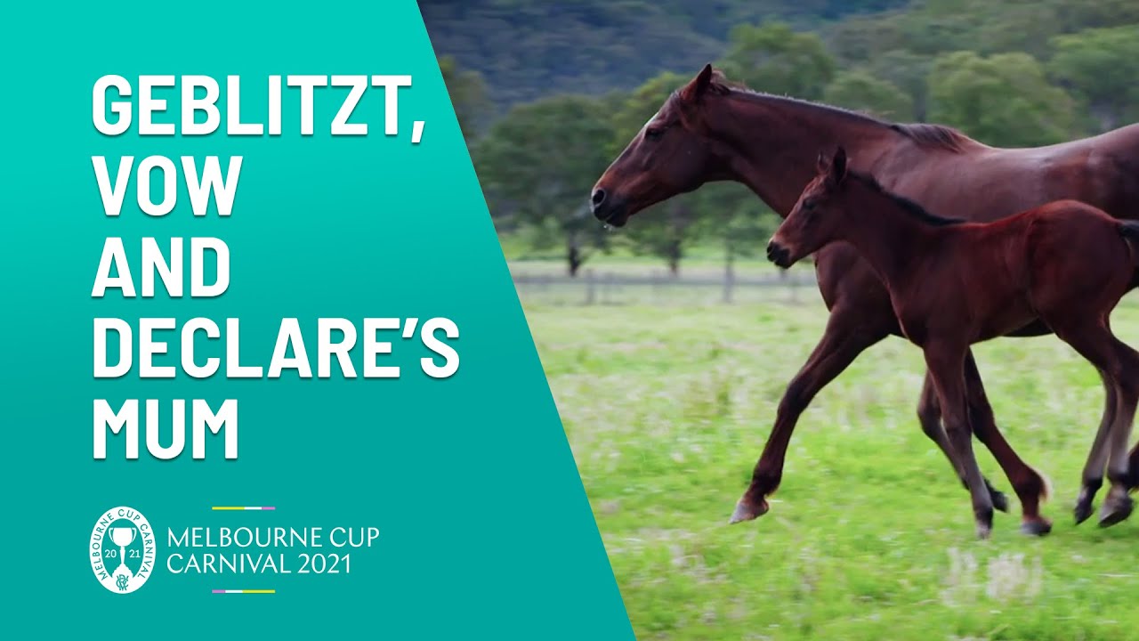 Widden Stud - Birthplace of Vow And Declare | Melbourne Cup Carnival | Channel 10