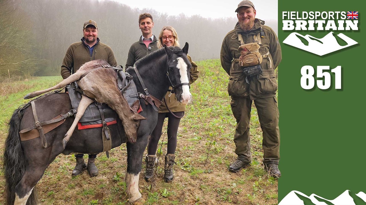 Fieldsports Britain – охота на охотничью лошадь в Сассексе