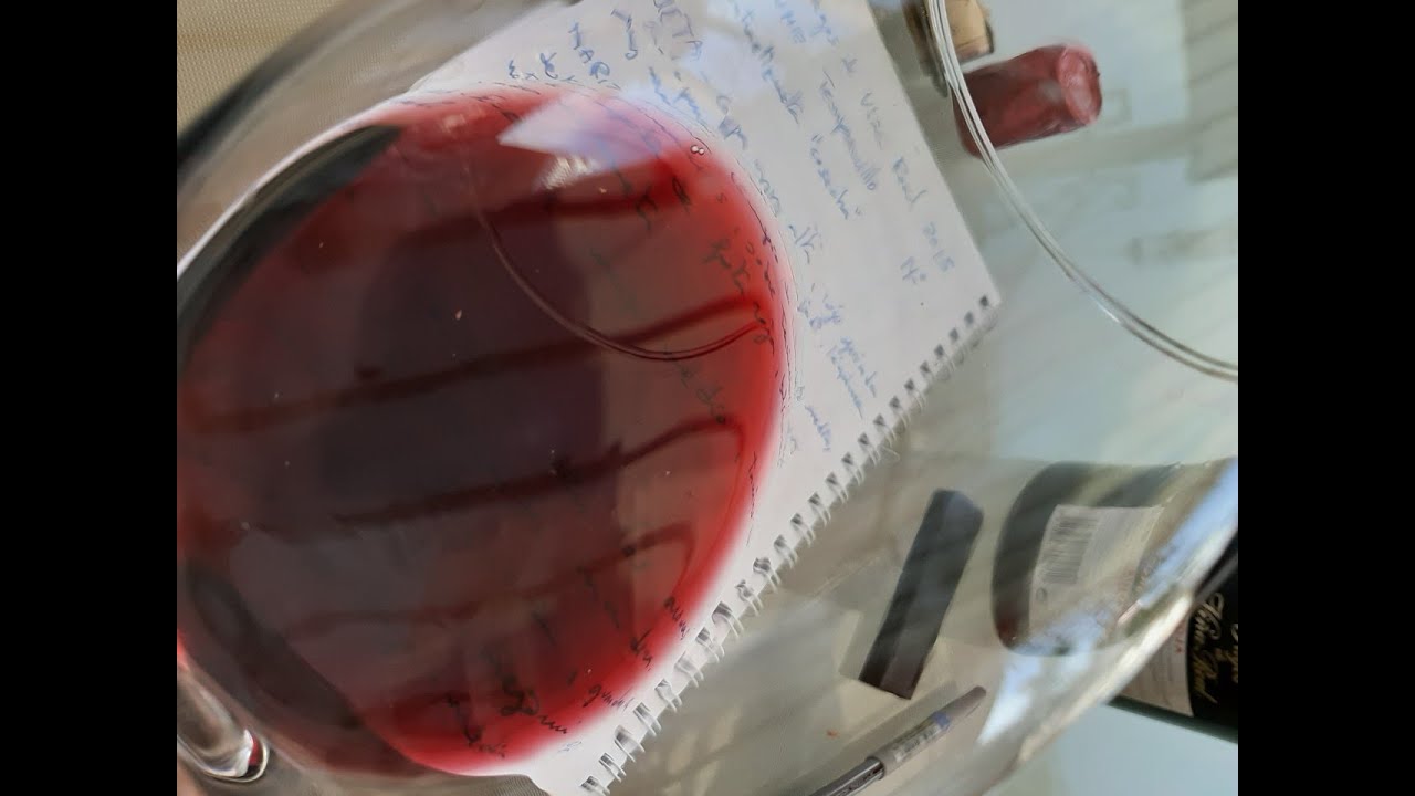 2 - ¿QUÉ MIRAMOS EN UN VINO?