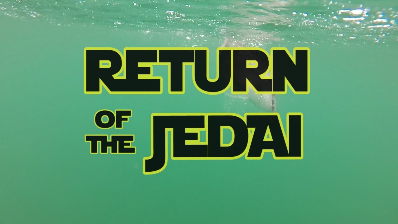 SharkerZ Fishing Videos - Return of The Jedai