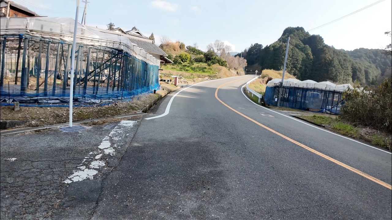 MYC3Dちょこっと登山・・二河原辺橋～千早城跡方向その３復路