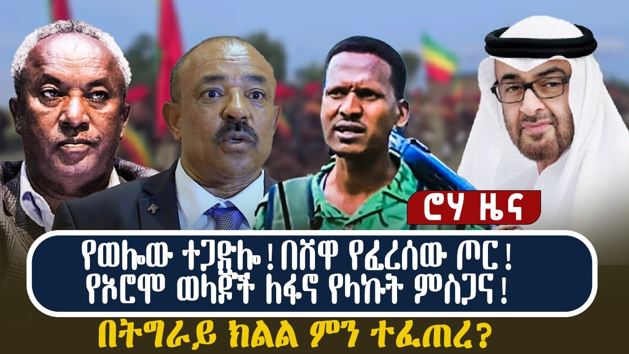 የወሎው ተጋድሎ!በሸዋ የፈረሰው ጦር! የኦሮሞ ወላጆች ለፋኖ የላኩት ምስጋና! በትግራይ ክልል ምን ተፈጠረ?