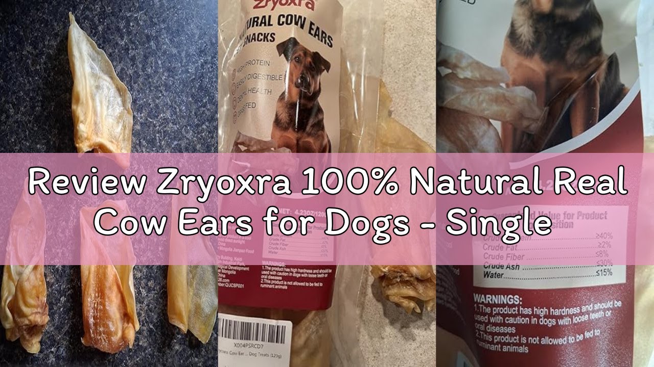 Review Zryoxra 100% Natural Real Cow Ears for Dogs - Single Ingredient Dental Chew, Long-Lasting Tre