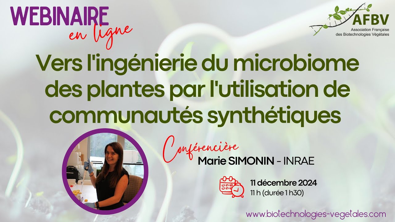 AFBV Webinaire#11-Ingénierie du microbiome des plantes par l'utilisation de communautés synthétiques
