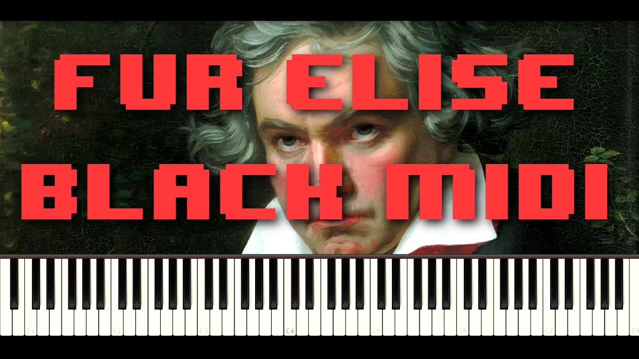 F&uuml;r Elise Black MIDI 620,000 Notes - ChickenAndBiscuits1357