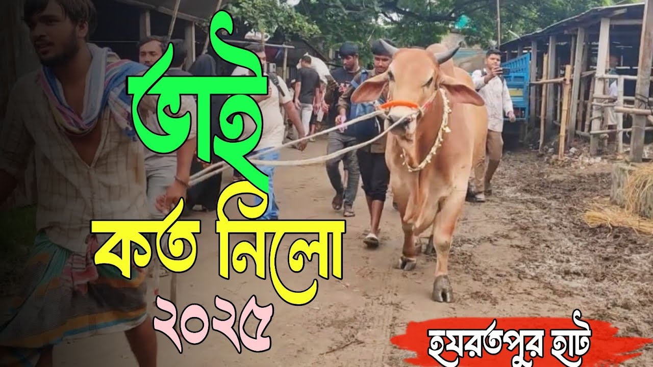 Bhai Koto Nilo 2025 | Hazratpur Gorur Haat 2025 | Qurbani Cow Price 2025 today | Part-40