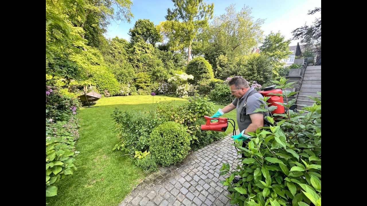 Erfahrungsbericht AS 1200 private Gartenpflege