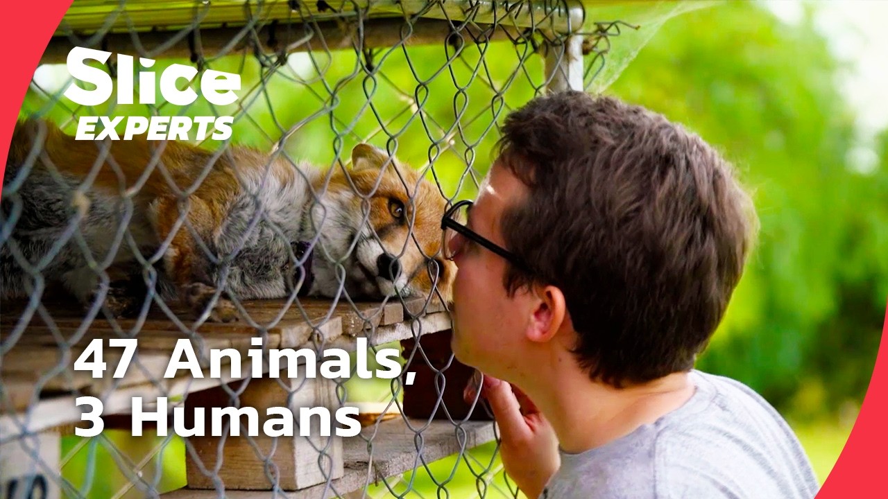 3 Humans, 47 Animals: The Limits of Shared Living I FULL DOC | SLICE EXPERTS