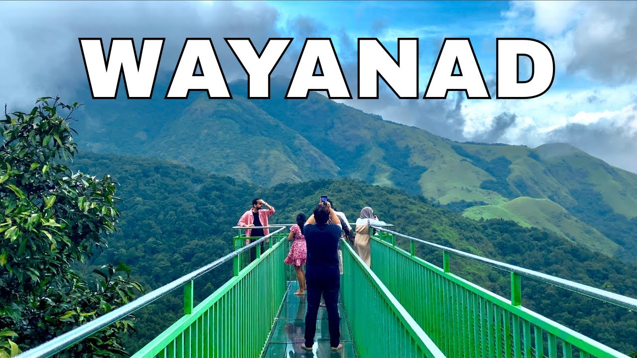 Wayanad Kerala | Wayanad Tourist Places | Edakkal Caves | 900 Kandi Eco Park | Soochipara Waterfall