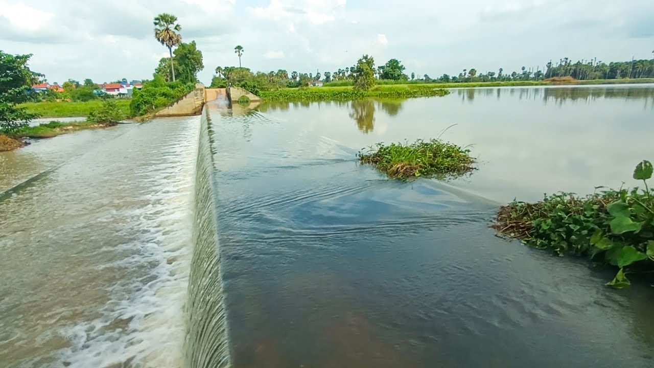 Massive Dam Drain Water - Removal Plants Grow On Water Clogged On Dam Drain Drainage
