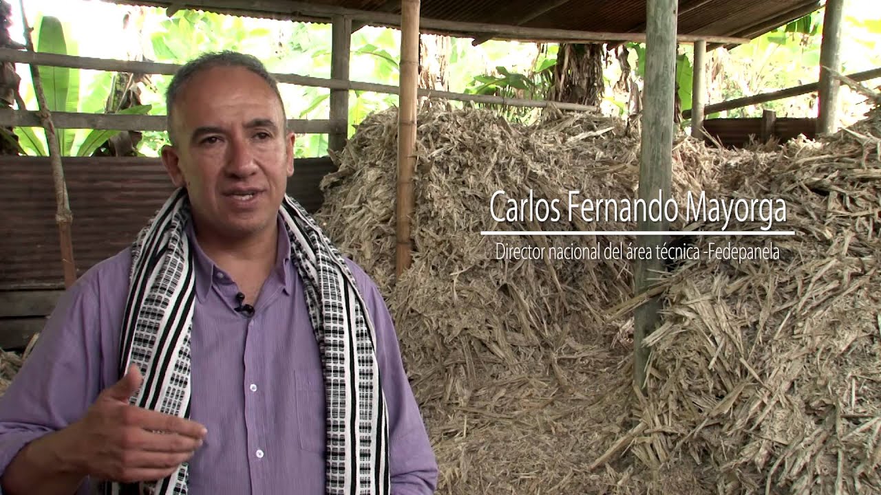 Mejoramiento de hornillas paneleras mediante dosificación del bagazo