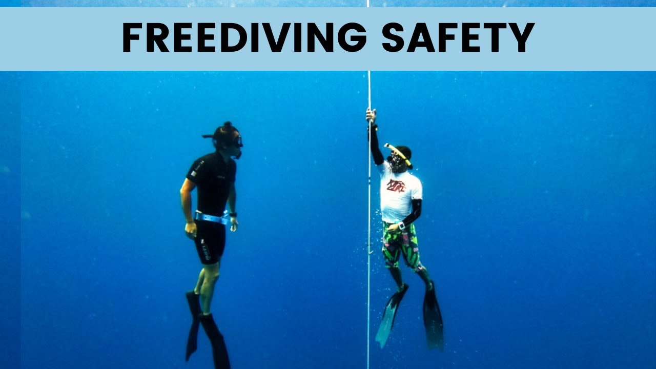 Beginner's Guide to Safety For Freediving | Theory Part 6