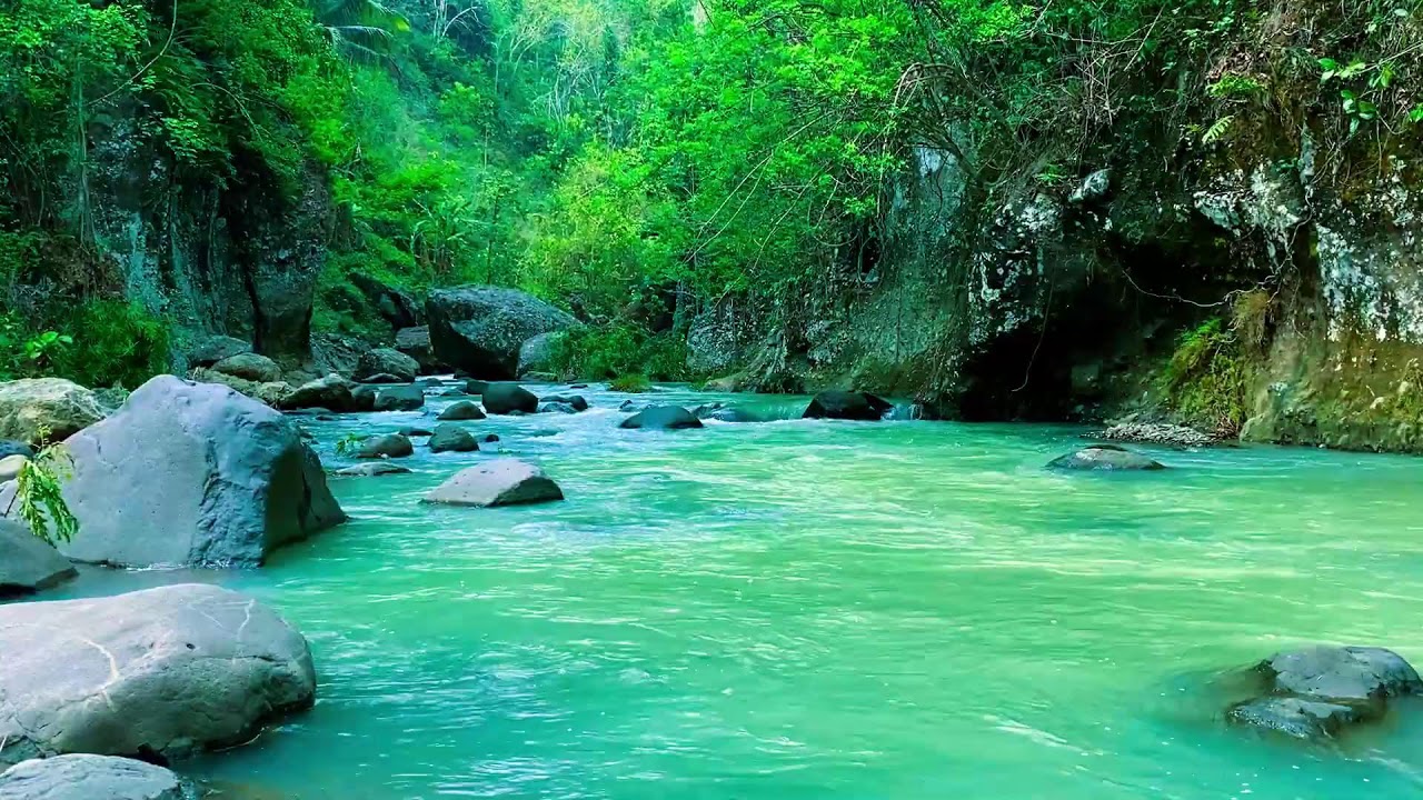 Mindful River Flow – 10 Hours of ASMR Water for Calm & Anxiety Release