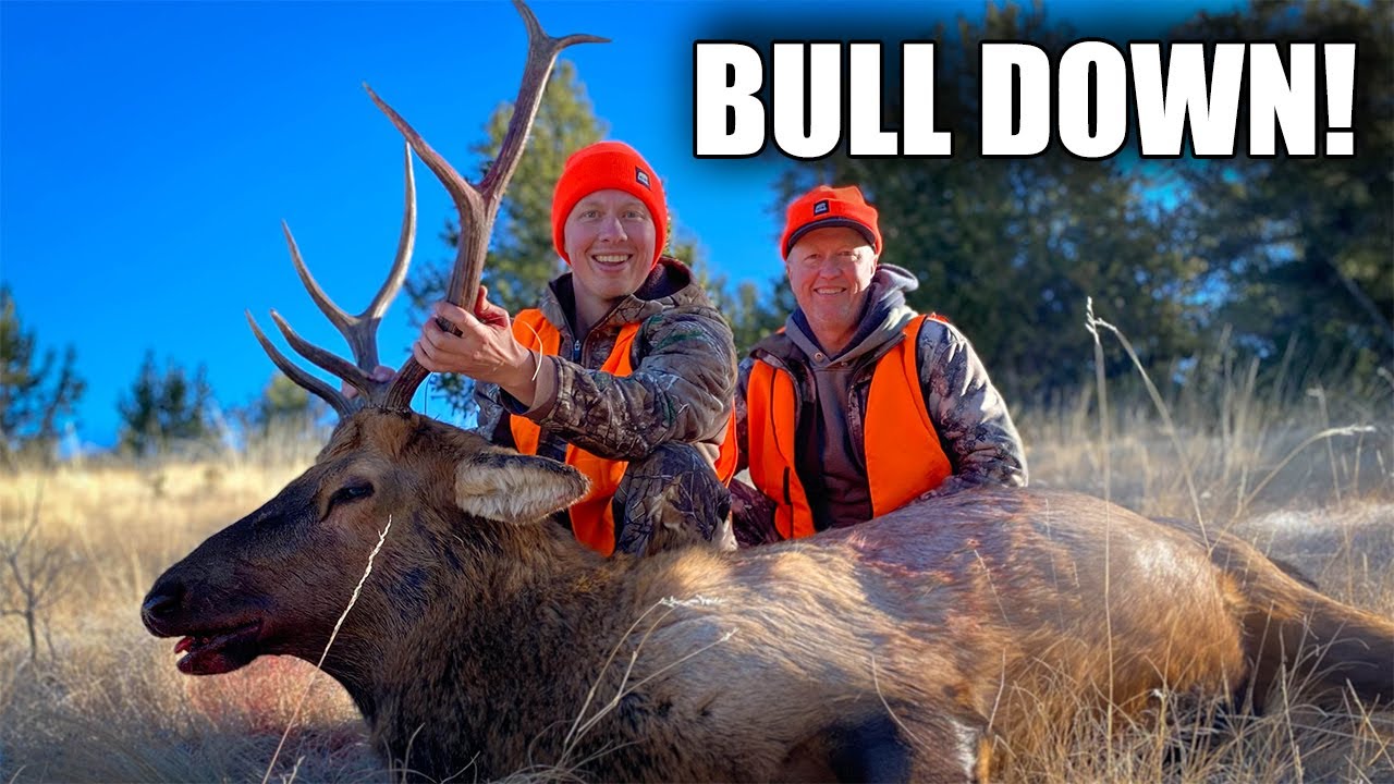 My First Colorado Bull - 2022 DIY Elk Rifle Hunt! A Hunt Of A Lifetime.. I'm Hooked