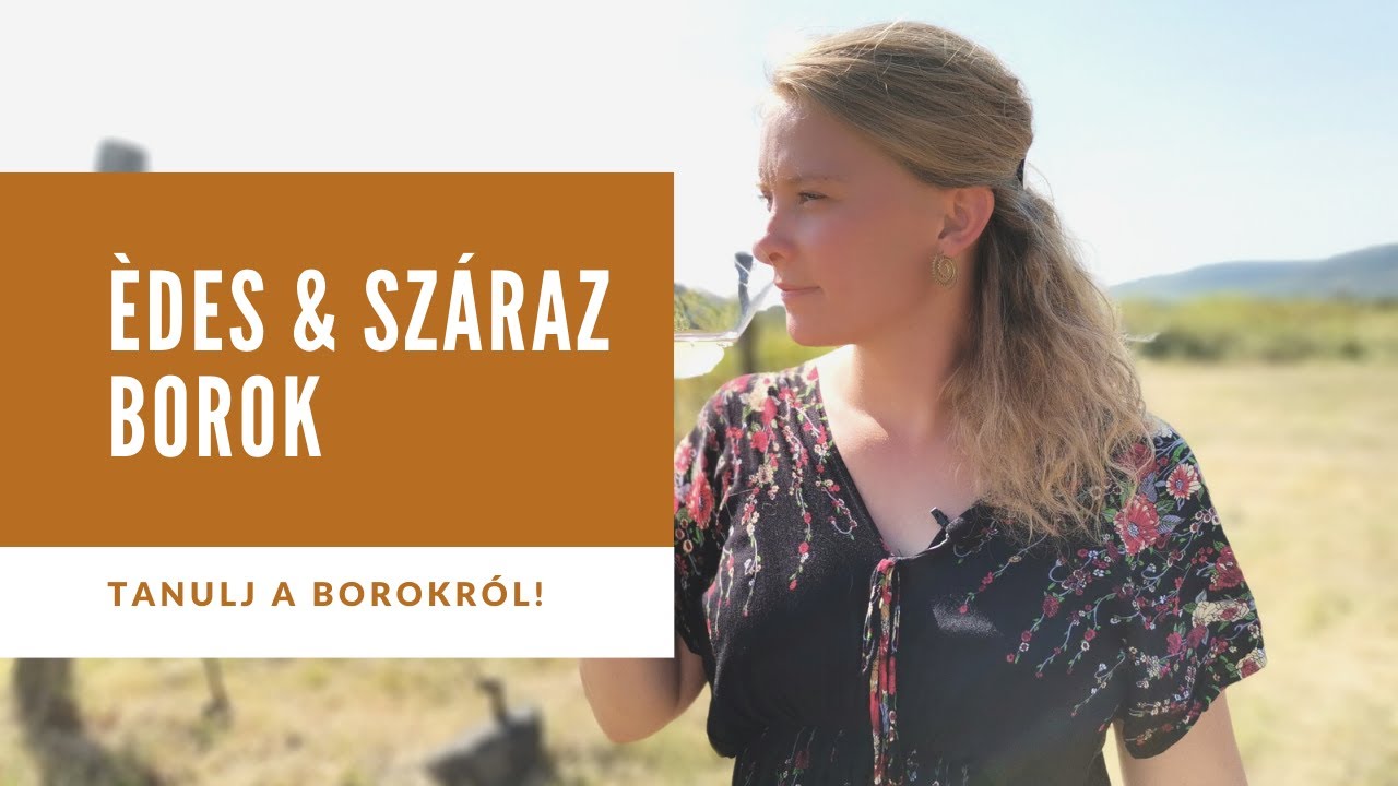 Tanulj a borokról - édes és száraz borok