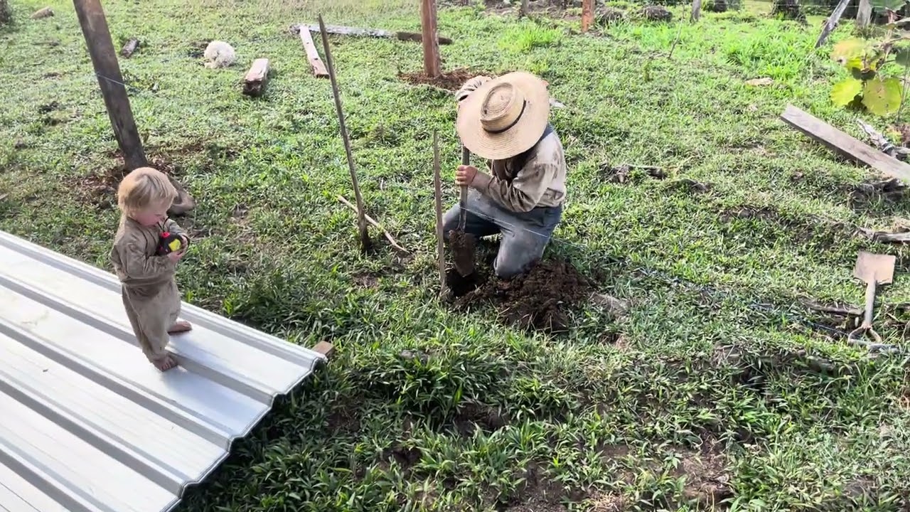 This week on the homestead 