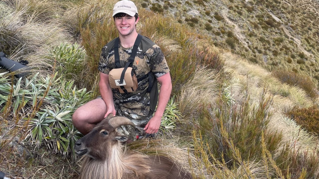 Mid Canterbury Tahr Hunt – High Country Bull Down