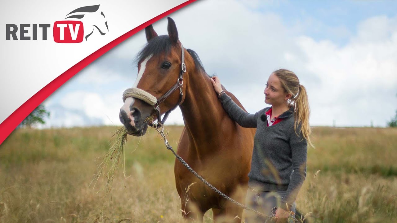 Homestory | Zu Besuch bei REITTV-Teamreiterin Isabelle