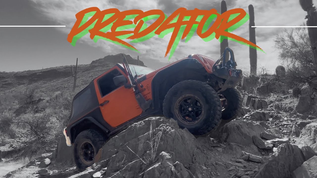 Predator @TABLE MESA OHV