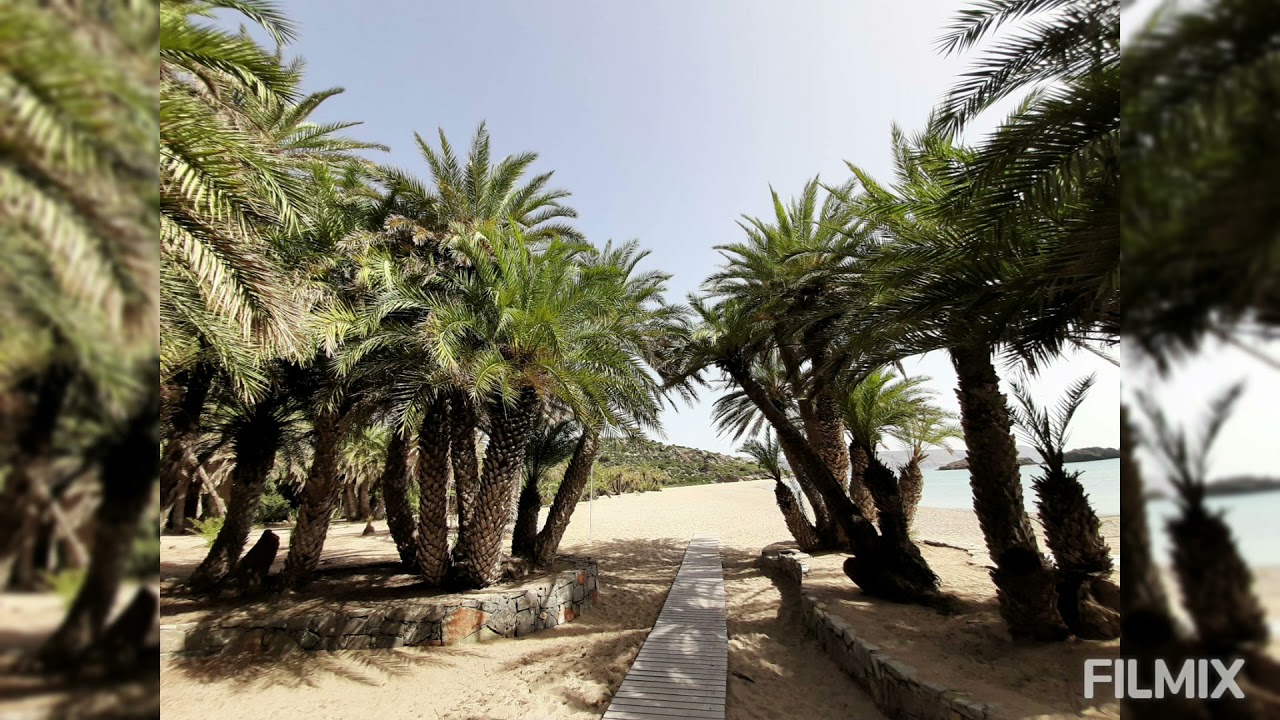 Vai Palm beach. Crete /Greece/Sitia Unesco Geopark