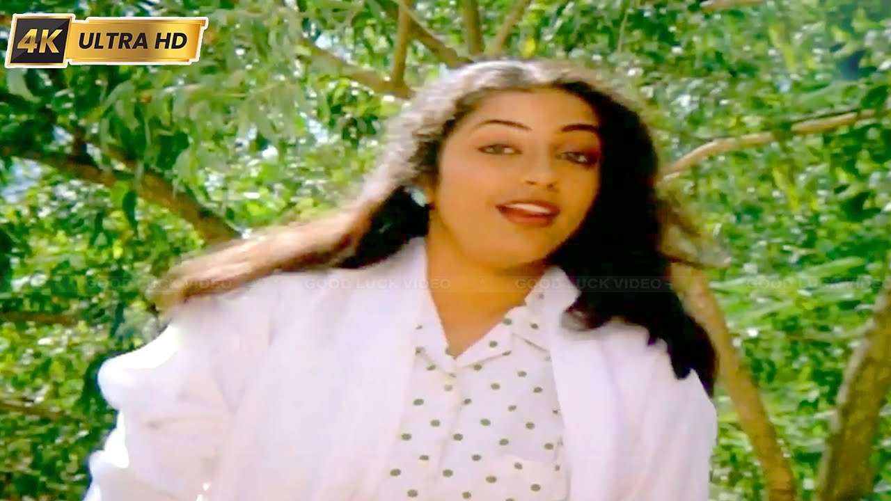 சித்திரச் சிட்டுக்கள் பாடல் | Chitra Chittugal song | K. S. Chithra | En Bommukutty Ammavukku .