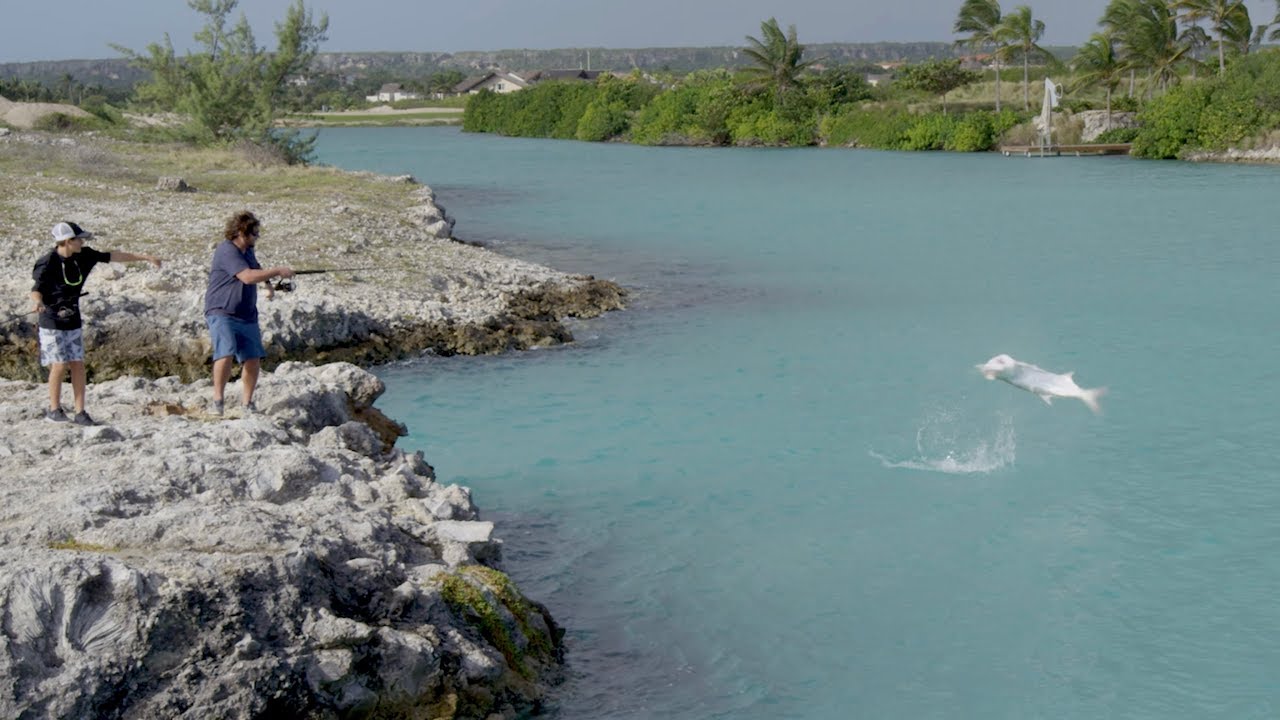 The Fin Chasers - Dominican Republic pt. 1