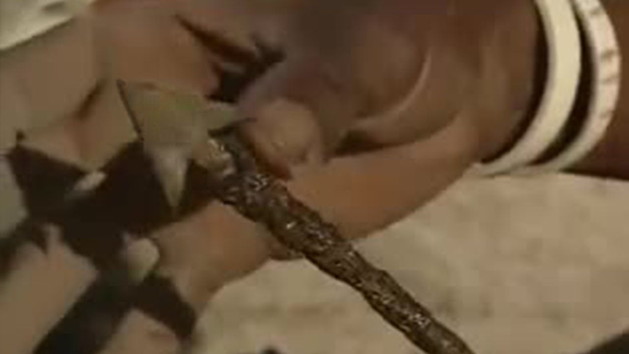 Making Poison Arrows in Africa | Ray mears World of Survival | BBC Studios
