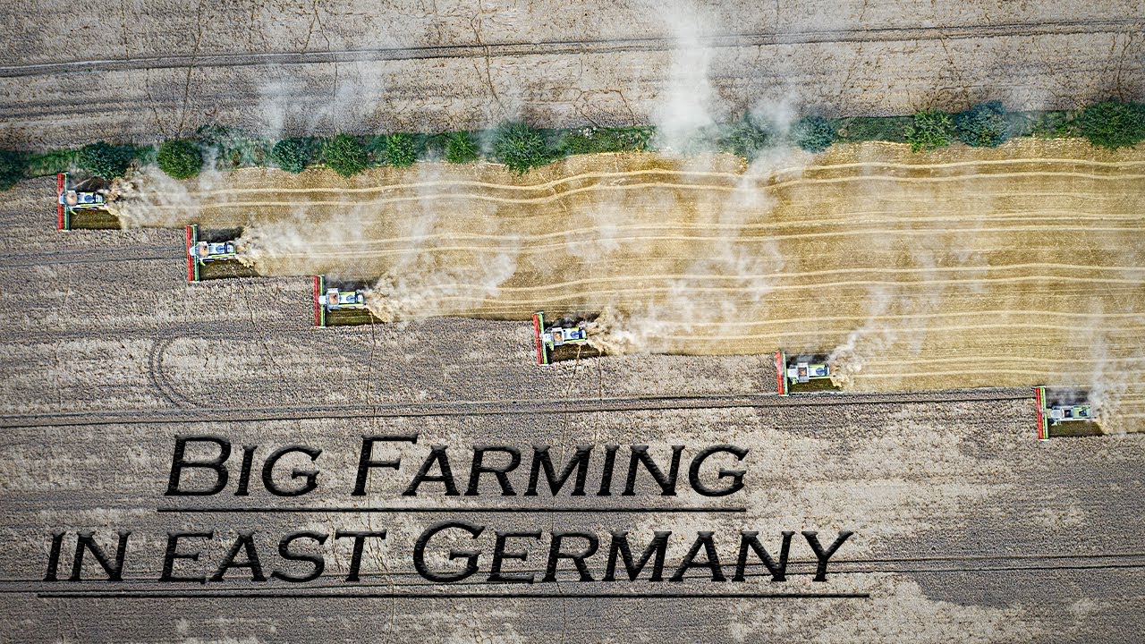 🇩🇪 Big Farming in East Germany 2021 - Farming XXL - BEST OF 2021 ▶ Agriculture Germanyy