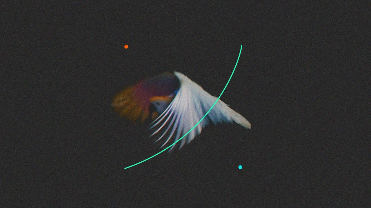 Search Me - Ben Potter || Lyric Video