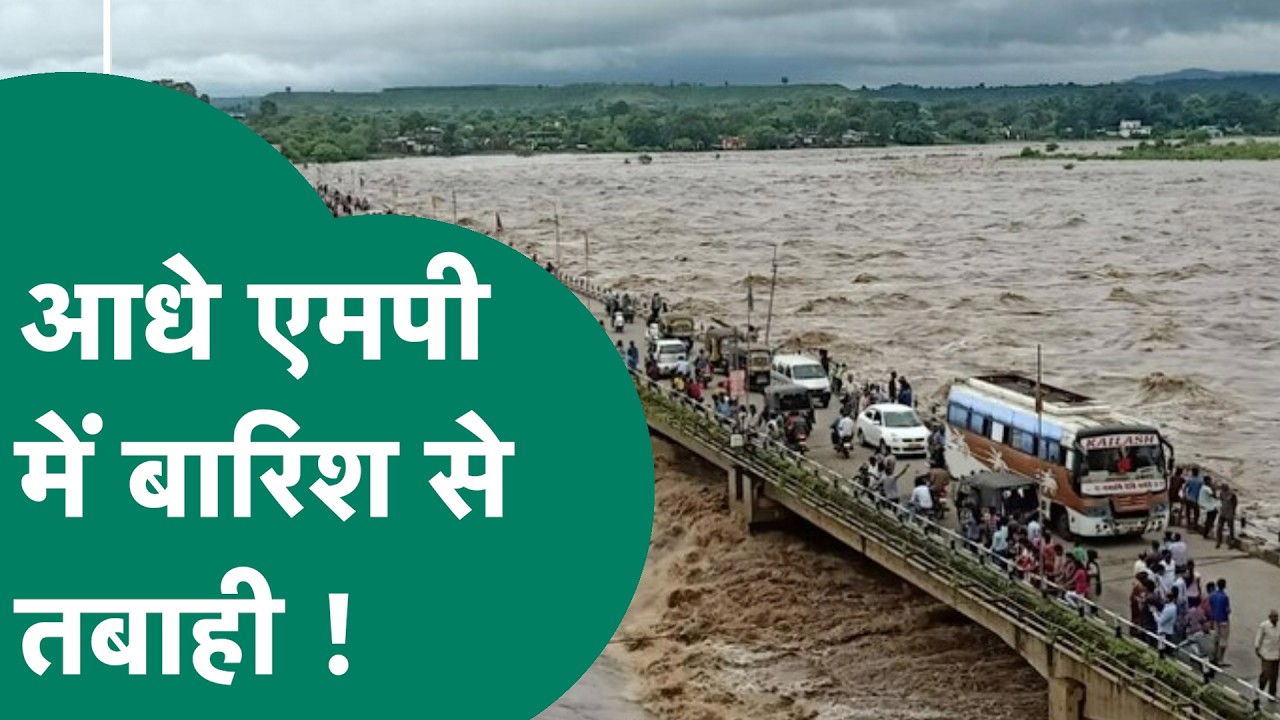 MP Rain News: लगातार कई जिलों में मूसलाधार बारिश ने आधे एमपी में मचाई तबाही ! | MP Tak