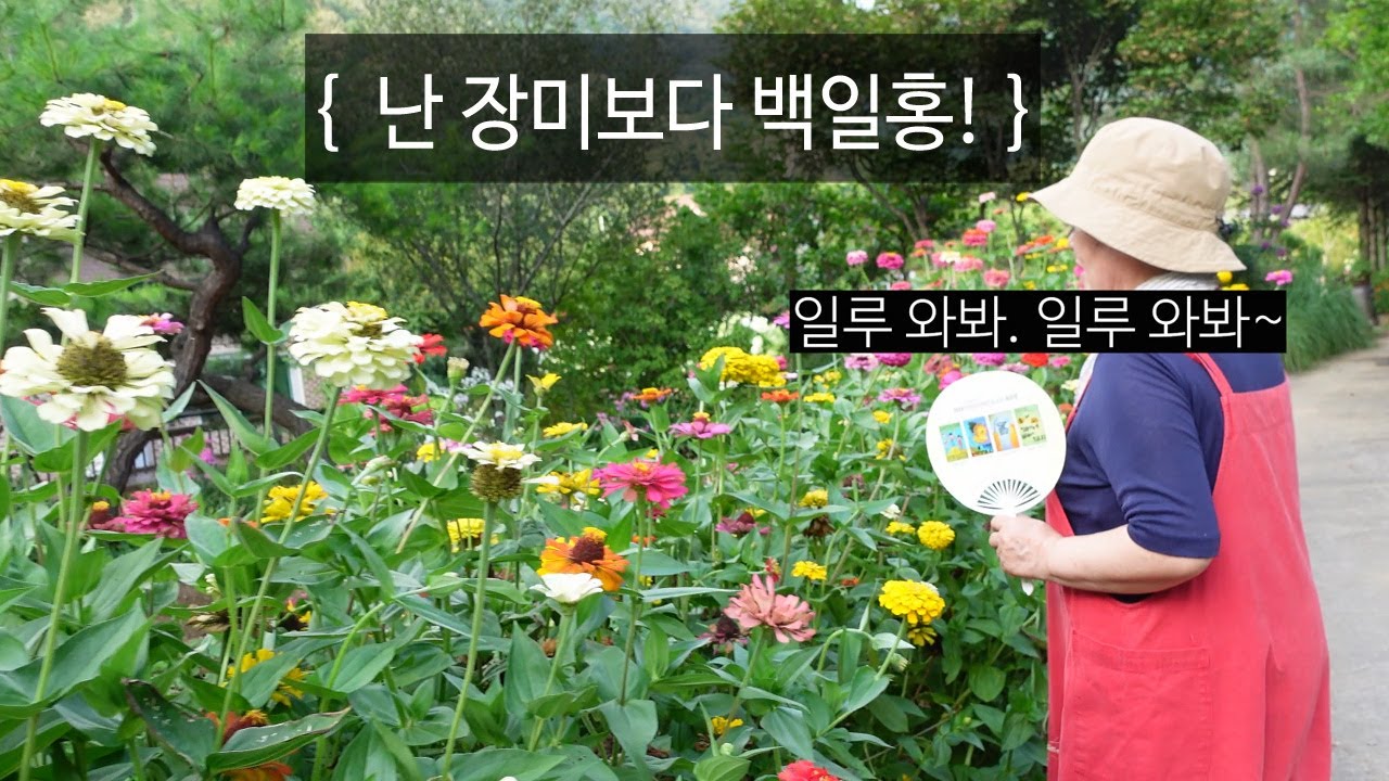 멧돼지 이놈이 내 식량을｜EP.98