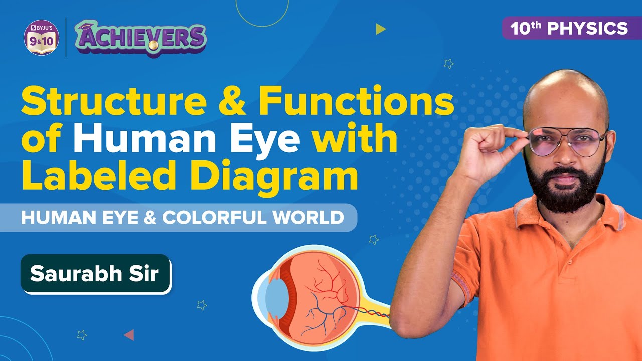 Structure and Functions of Human Eye (Labeled Diagram) Class 10 Science Human Eye and Colorful World