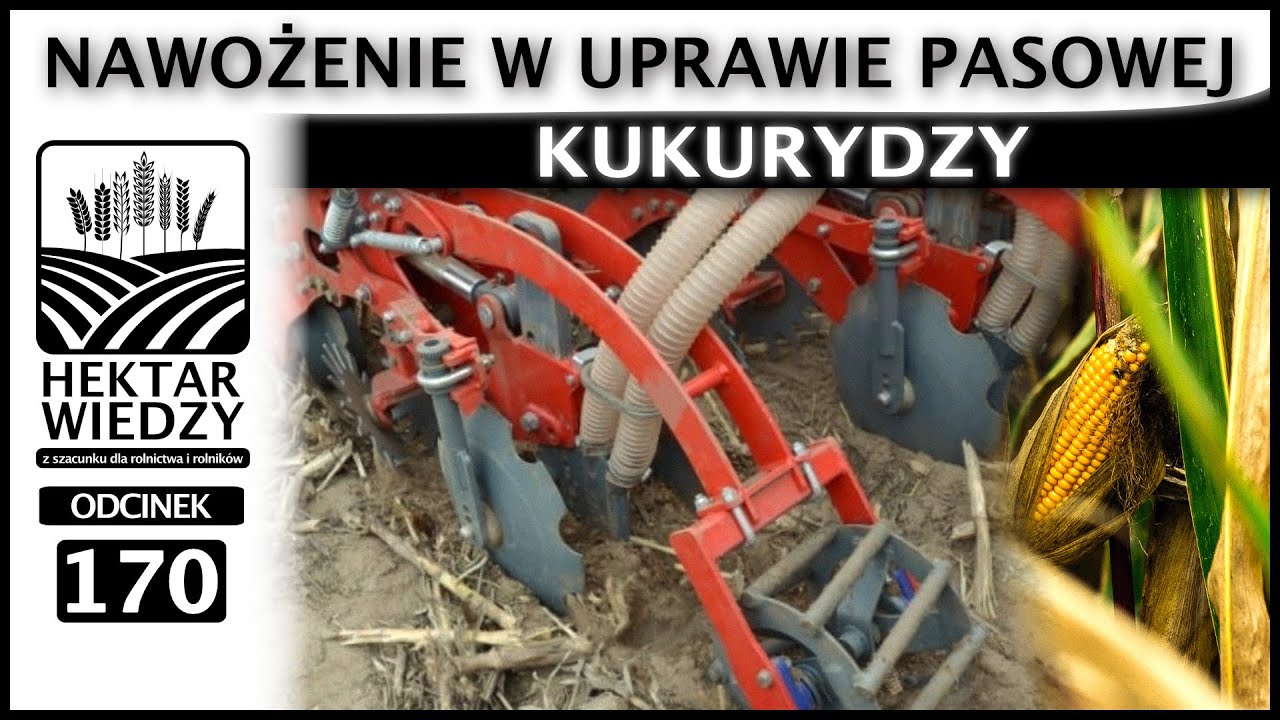 ZWIASTUN | NAWOŻENIE W UPRAWIE PASOWEJ KUKURYDZY. | ODCINEK 170